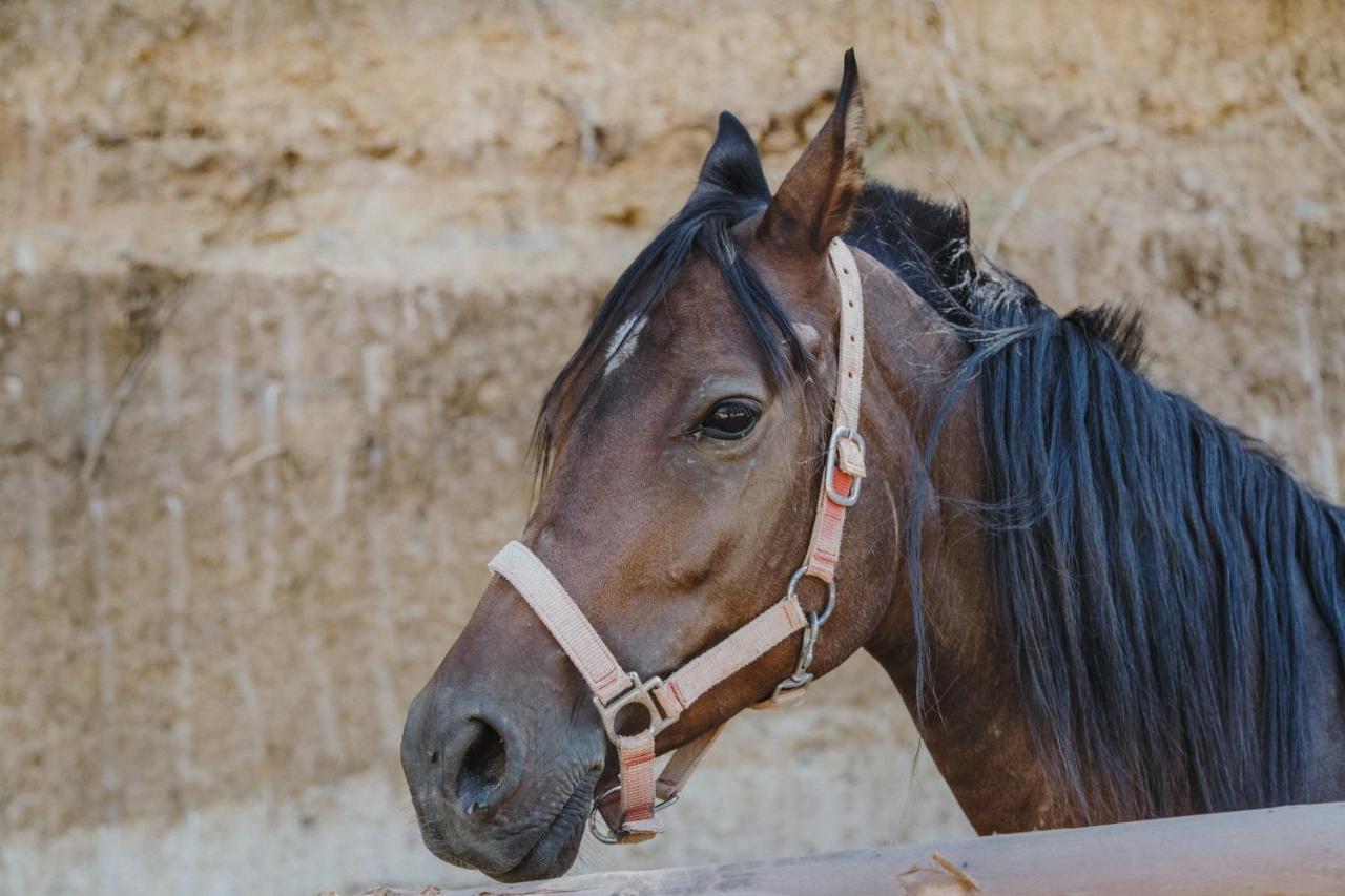 פיאצה ארמרינה Leano Agriresort מראה חיצוני תמונה