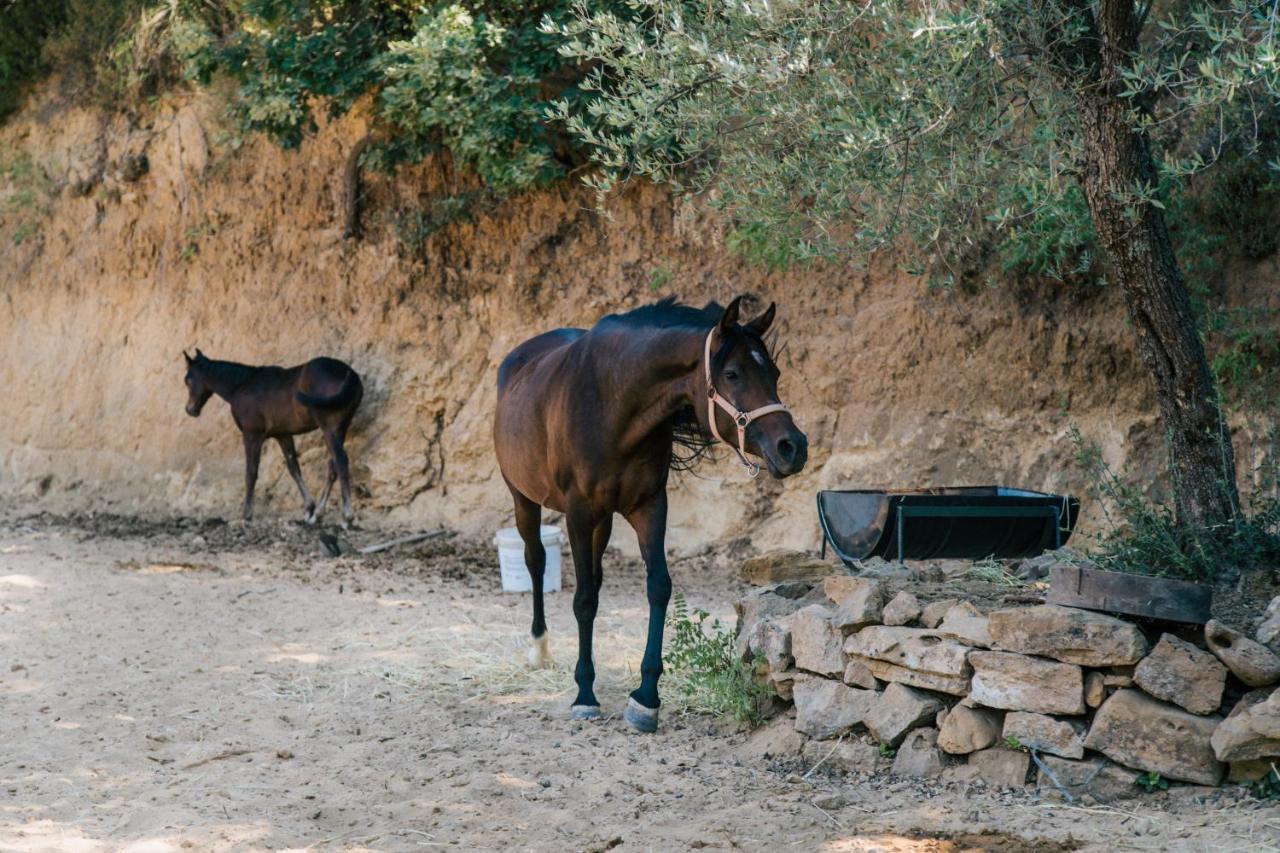 פיאצה ארמרינה Leano Agriresort מראה חיצוני תמונה
