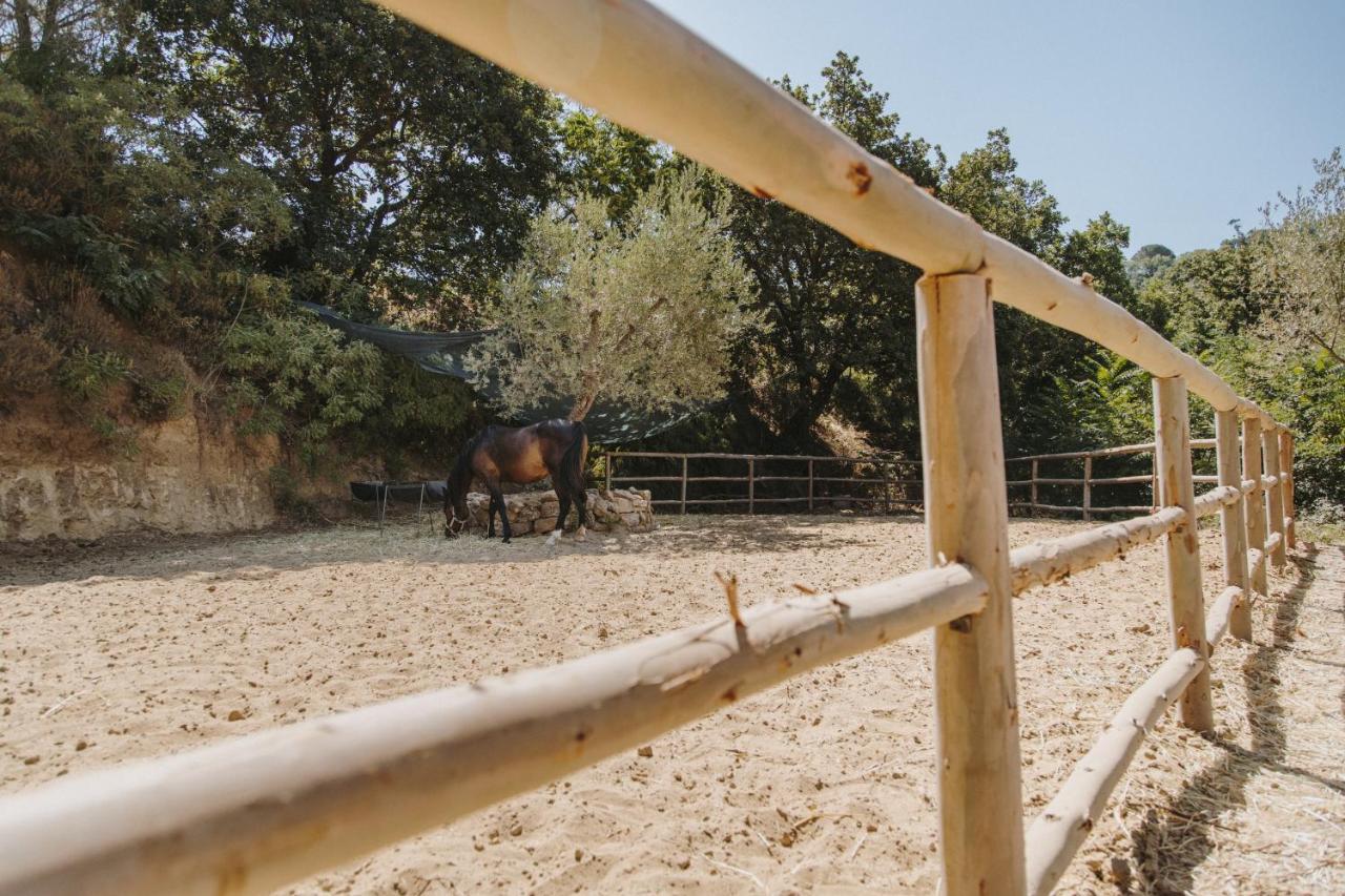 פיאצה ארמרינה Leano Agriresort מראה חיצוני תמונה