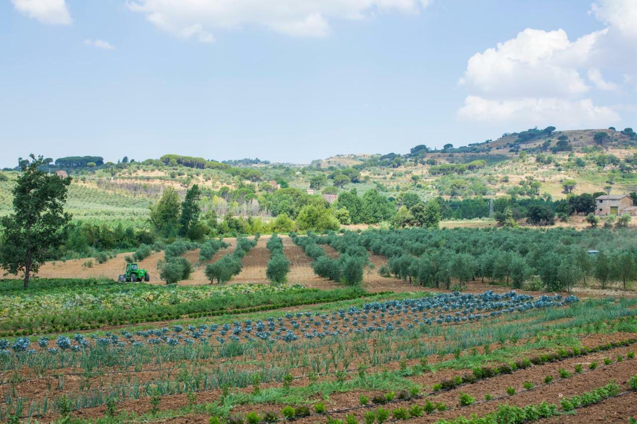 פיאצה ארמרינה Leano Agriresort מראה חיצוני תמונה